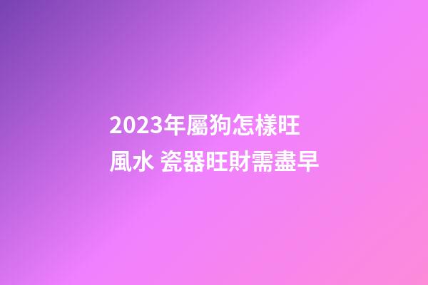 2023年屬狗怎樣旺風水 瓷器旺財需盡早